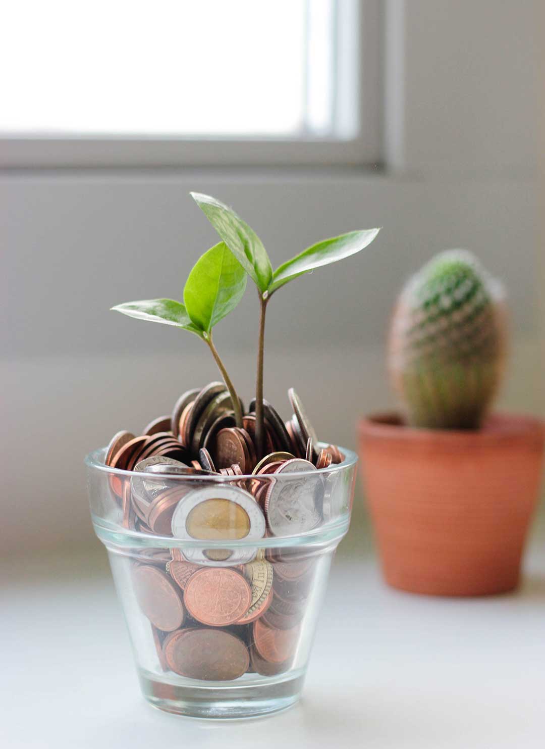 Pflanze wächst aus Glas mit Geld